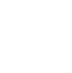Jamie Langevin Portfolio Web Design 9Hives Logo